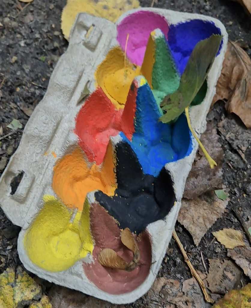 In een opengeklapte eierdoos zijn de vakjes beschilderd in verschillende kleuren, zoals bruin, geel, rood, groen, blauw en oranje. In het groene vakje ligt een groen blad. In het oranje vakje ligt een klein bad en in het bruine vakje ligt een bruin helicoptertje